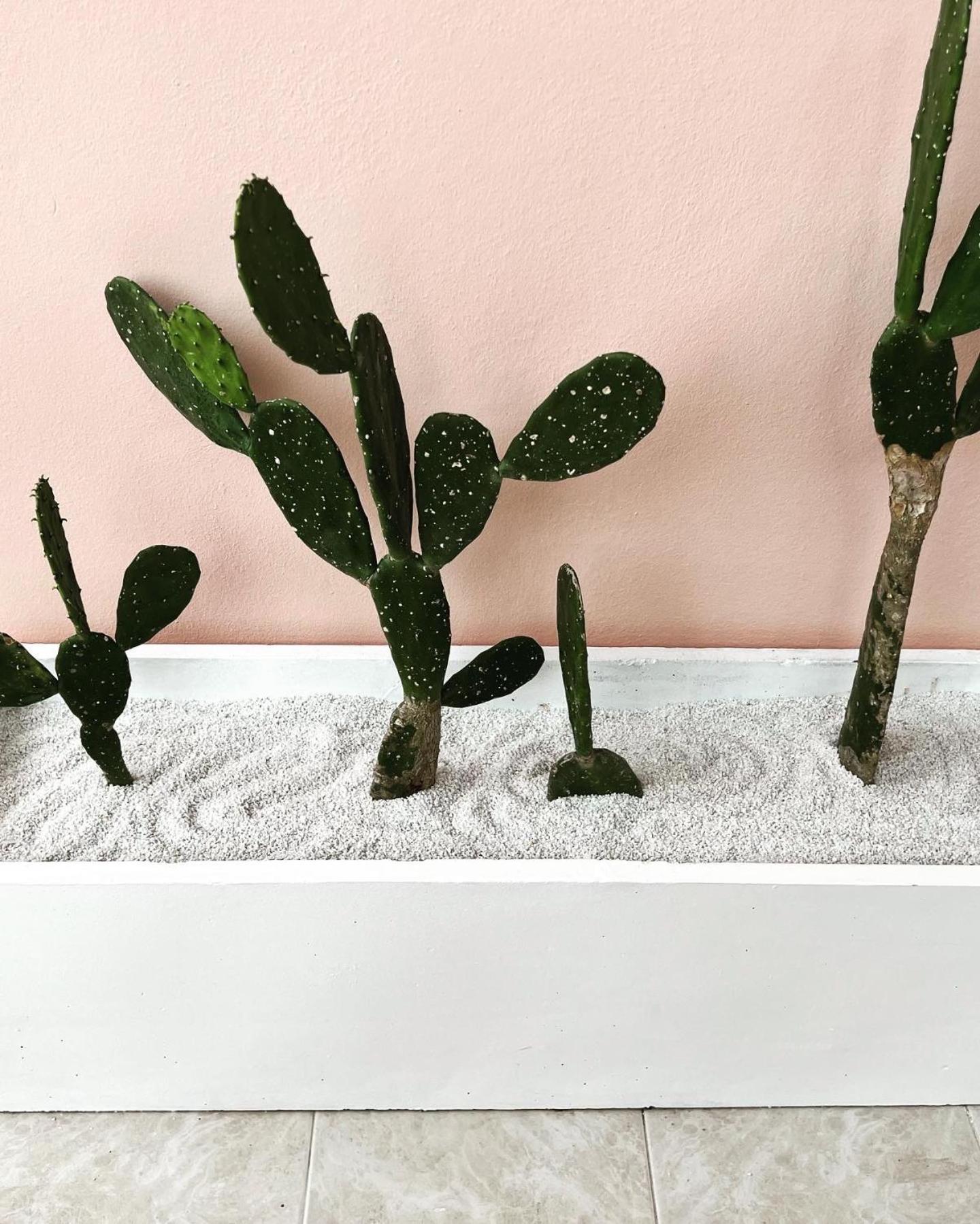 Amphoe KoksamuiCasa Cactusアパートメント エクステリア 写真